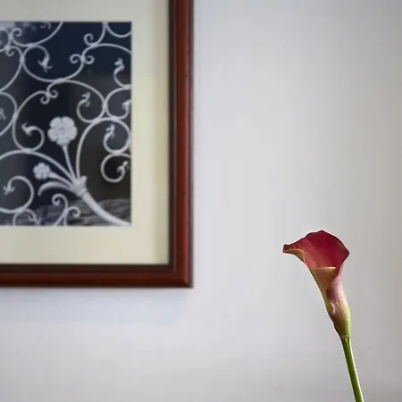 酒店 Astoria 奥帕提亚